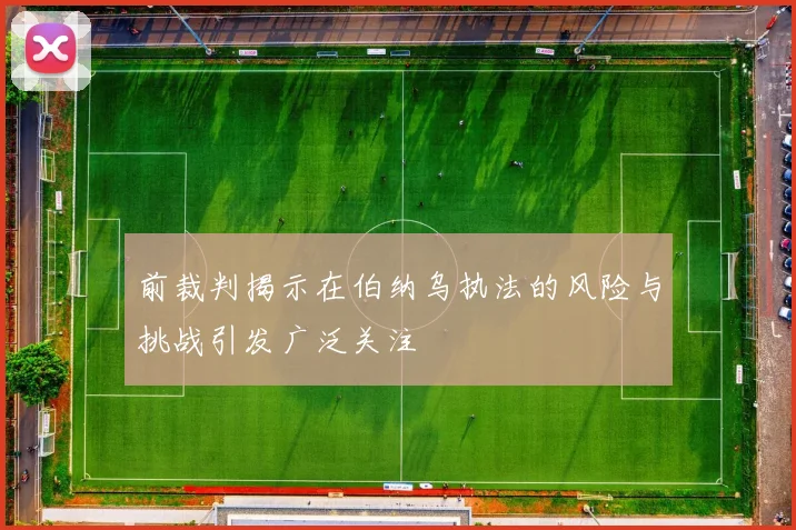 前裁判揭示在伯纳乌执法的风险与挑战引发广泛关注