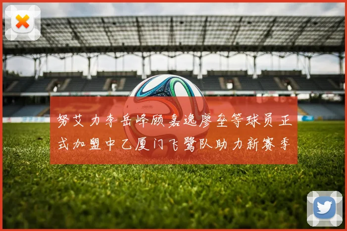 努艾力李岳峰顾嘉逸廖垒等球员正式加盟中乙厦门飞鹭队助力新赛季
