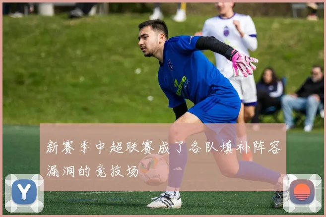 新赛季中超联赛成了各队填补阵容漏洞的竞技场