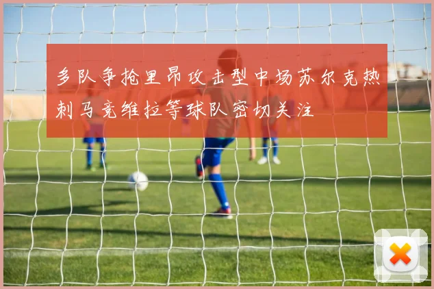 多队争抢里昂攻击型中场苏尔克热刺马竞维拉等球队密切关注