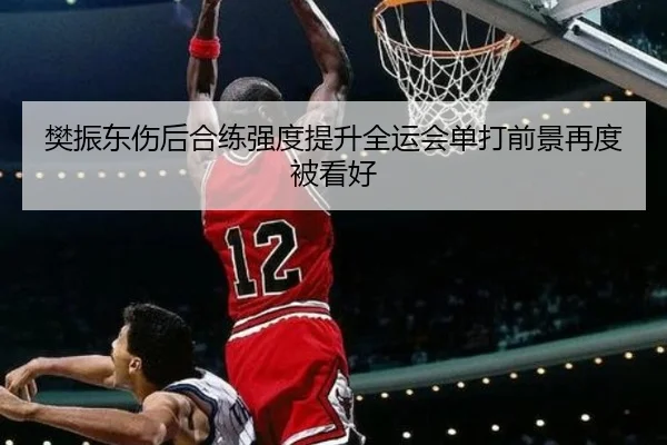 樊振东伤后合练强度提升全运会单打前景再度被看好(KYgaming)